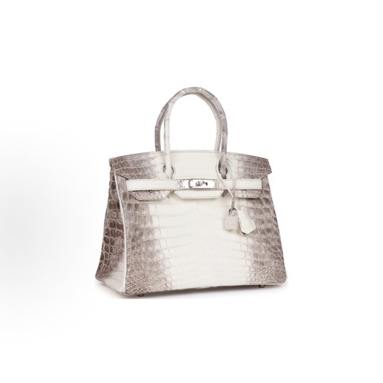 HERMES Birkin 30 silver clasp regular women\'s beige